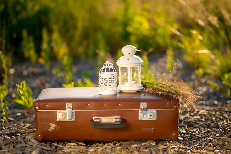 chandeliers-metal-blanc-valises-retro-se-tiennent-dans-jardin_1048944-26438316.jpg