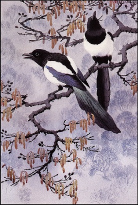 Charles Tunnicliffe.jpg