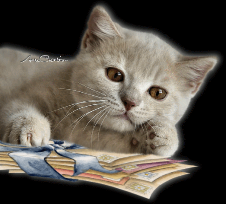 CHAT2.gif
