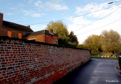 chemin de l'école1.jpg