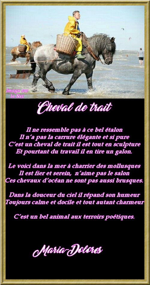 Cheval de trait.jpg