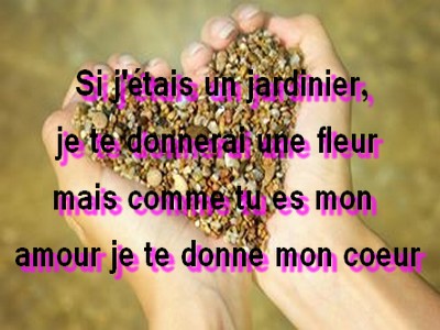 Citation 246.jpg