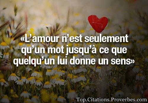 Citation amour.jpg