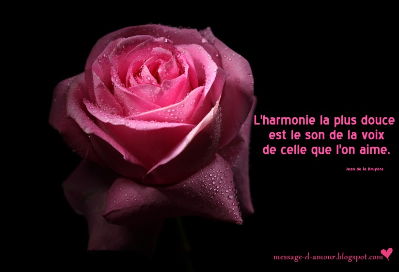 Citation d'amour 2.jpg