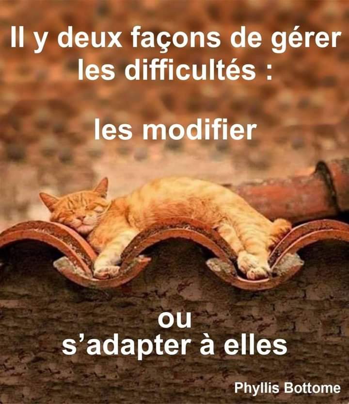 citation-phyllis-bottome-les-difficultes.jpg