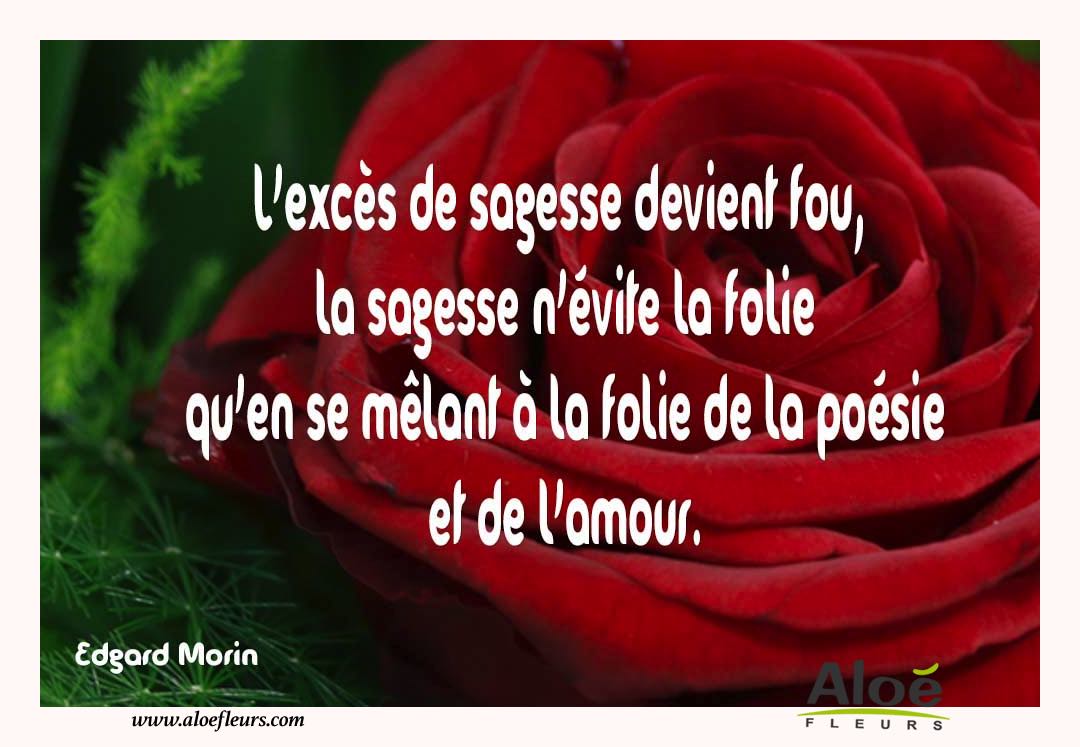 citations amour 2.jpg
