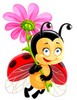 coccinelle.jpg