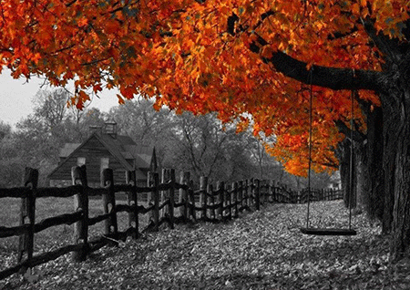 concours-poesie-automne-jepoemes-poeme.gif