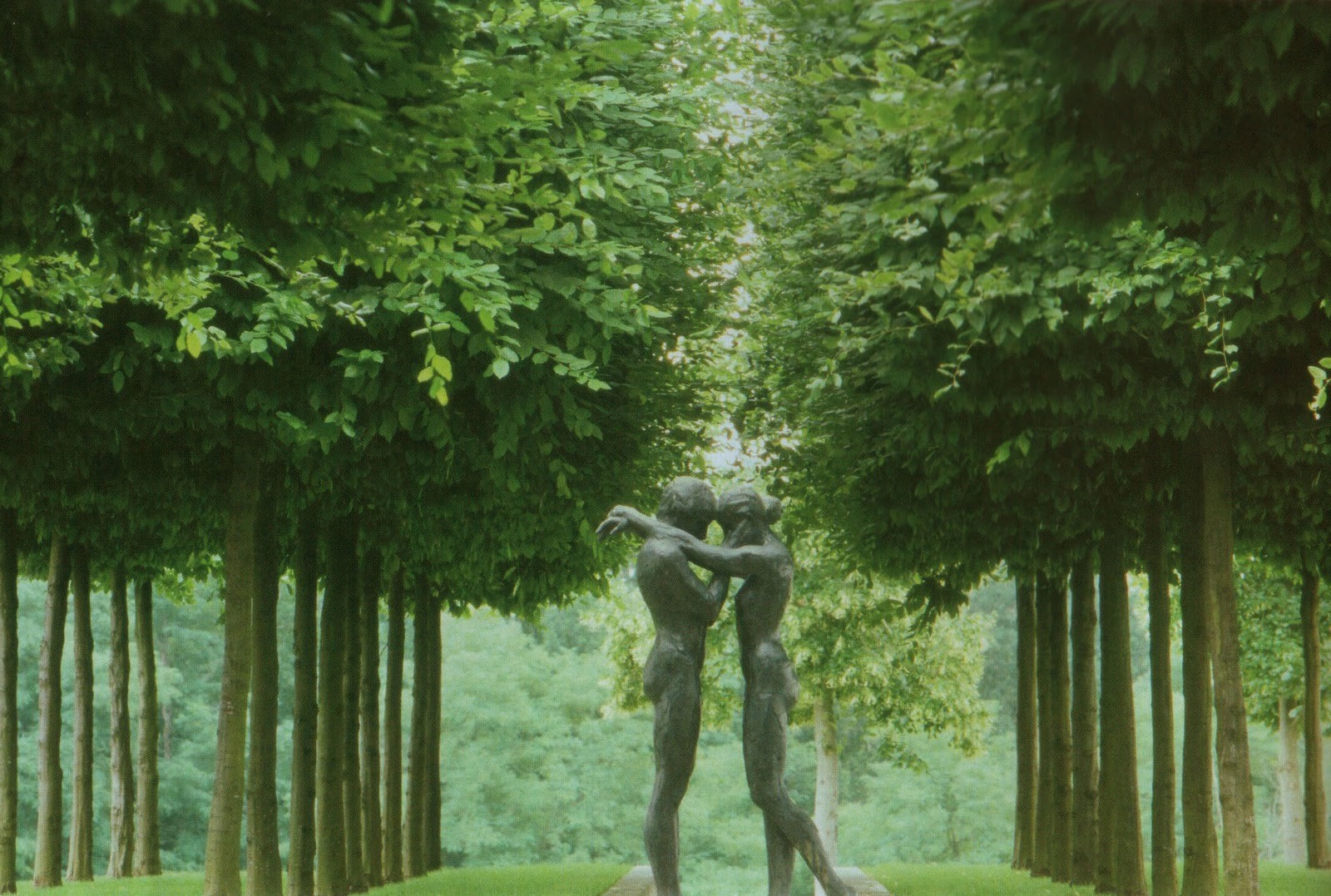 couple-foret-1.jpg