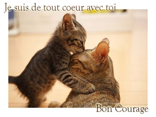 courage 2266.jpg
