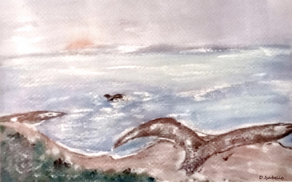 dessin de Dave le dauphin.jpg 1.jpg