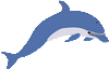 dolphin-296647_960_720.png