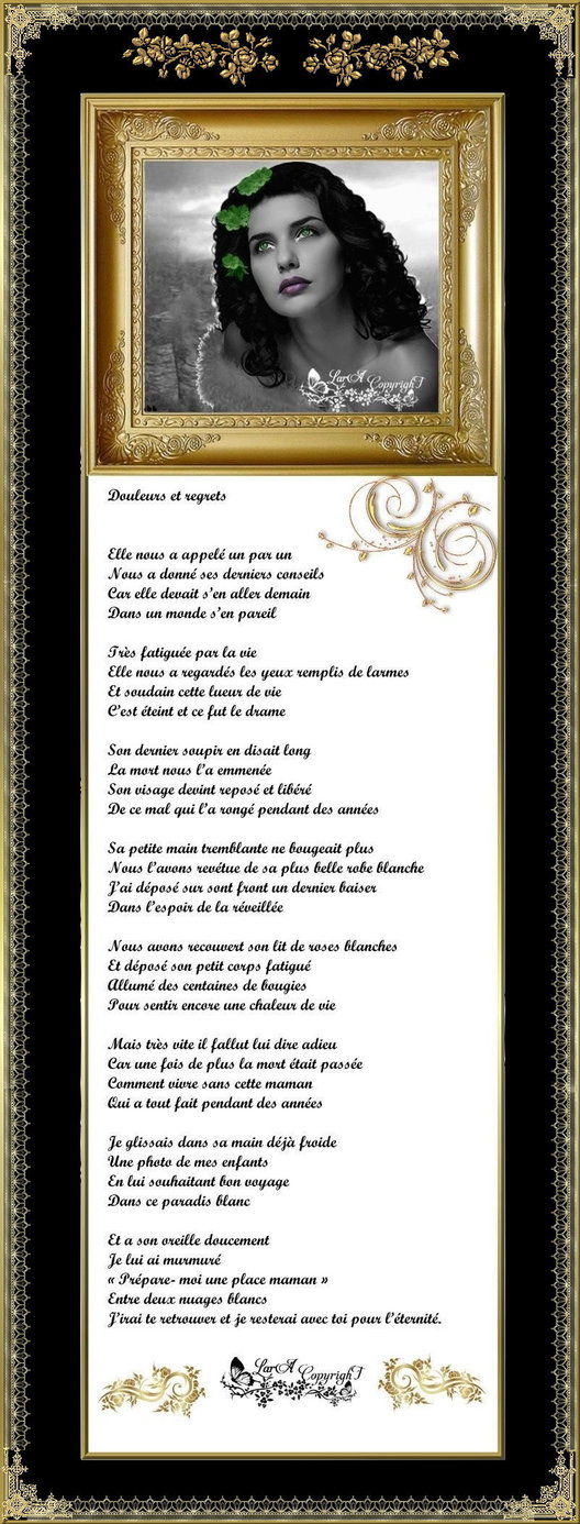 Douleurs-et-regrets-lara.jpg