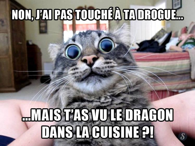 Drole 2.jpg