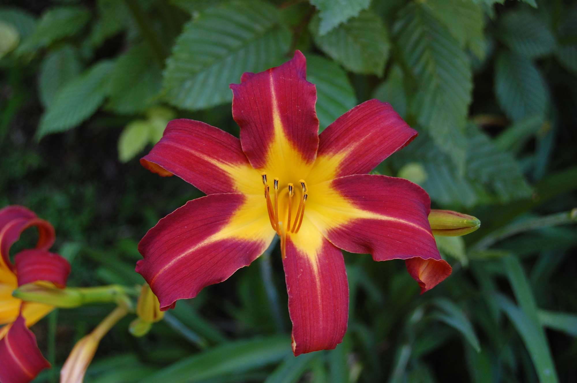DSC_0017.jpg