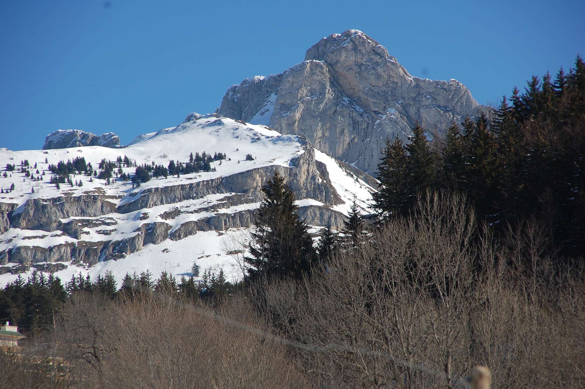 DSC_0020.jpg