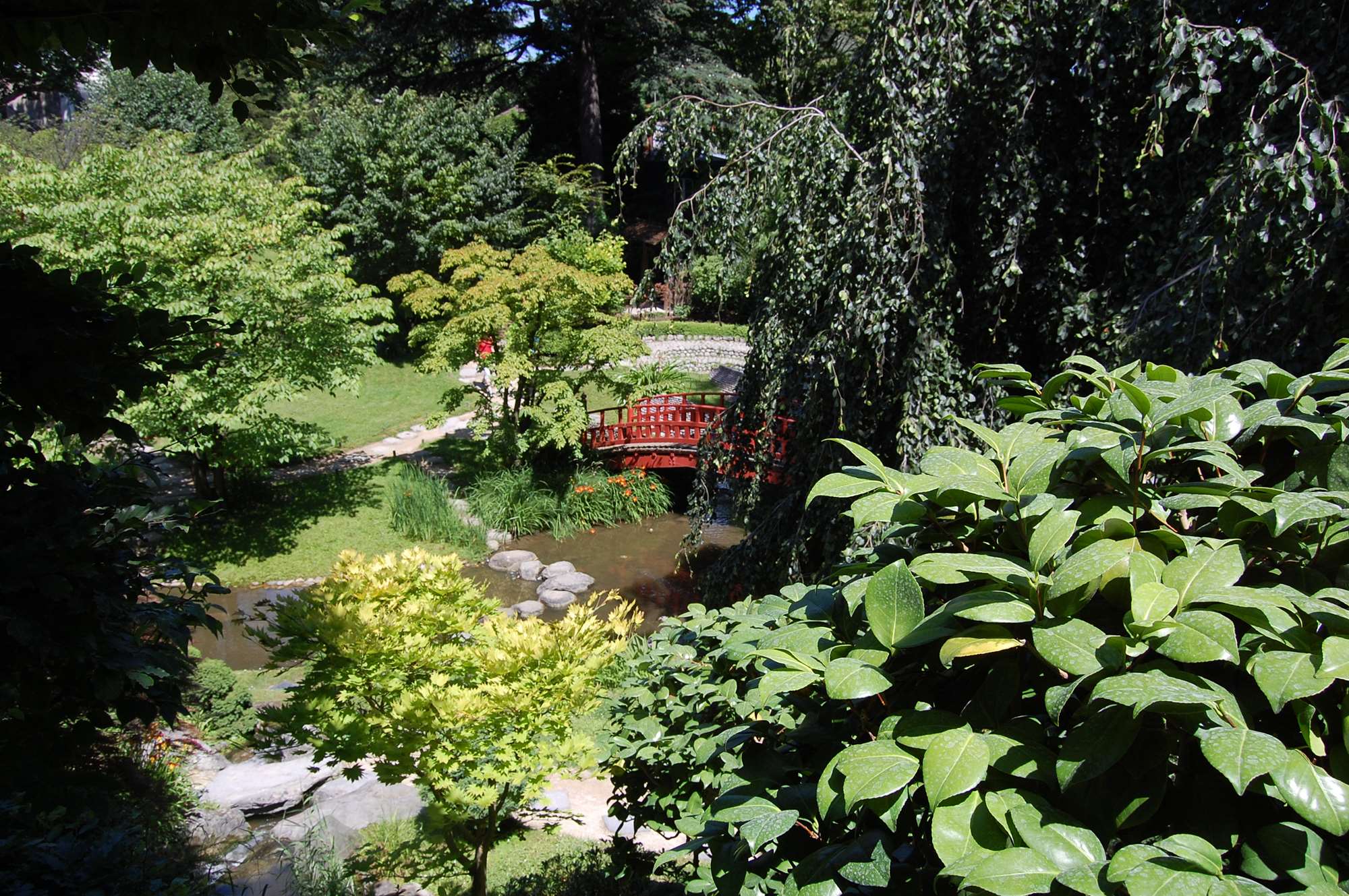 DSC_0026.jpg