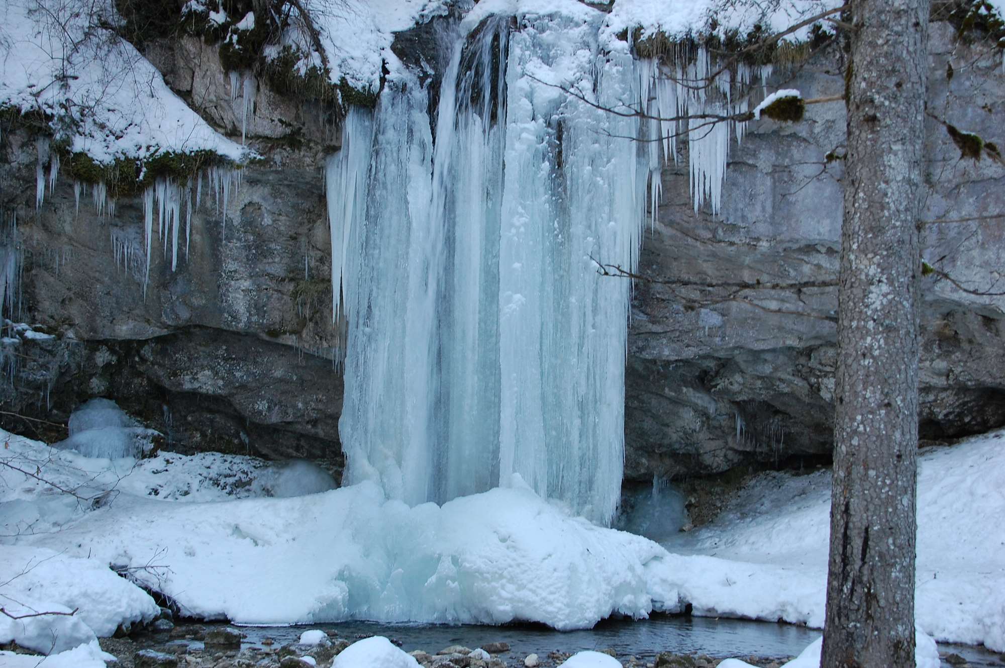 DSC_0058.jpg