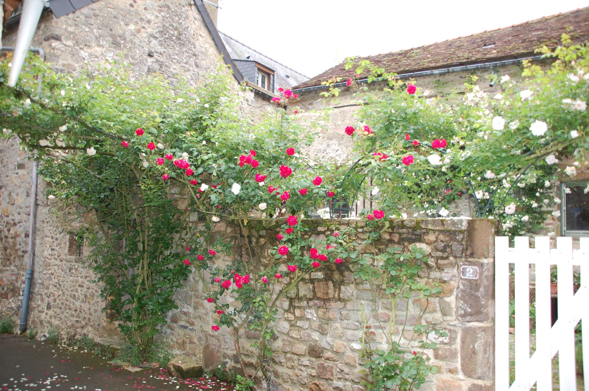 DSC_0087.jpg