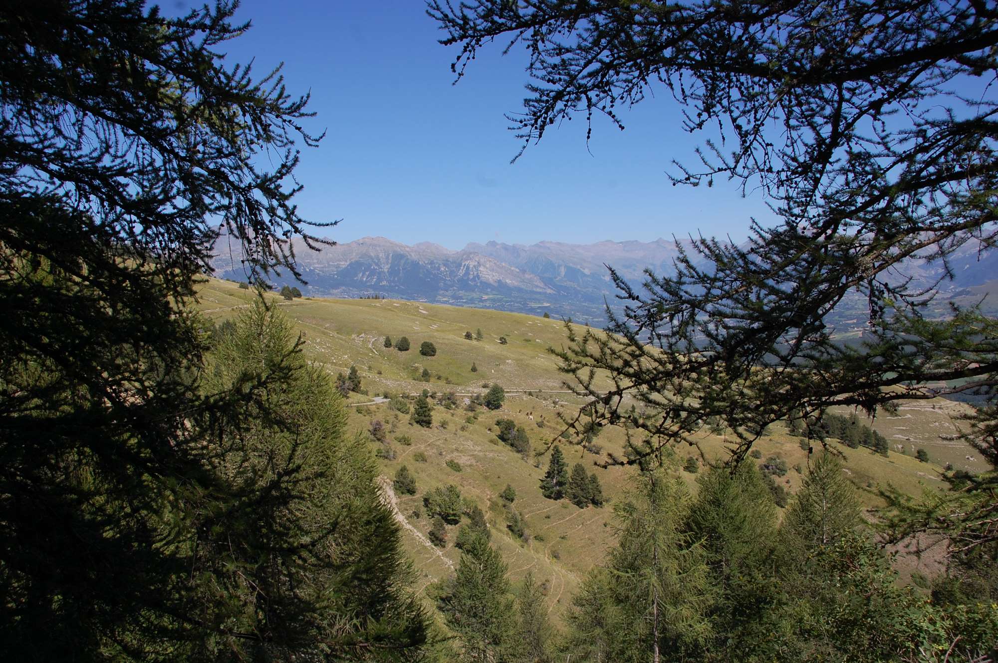 DSC_0087.jpg