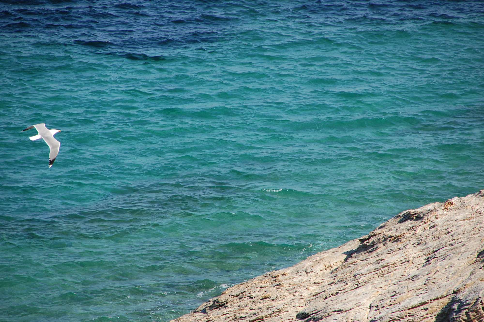 DSC_0090.jpg