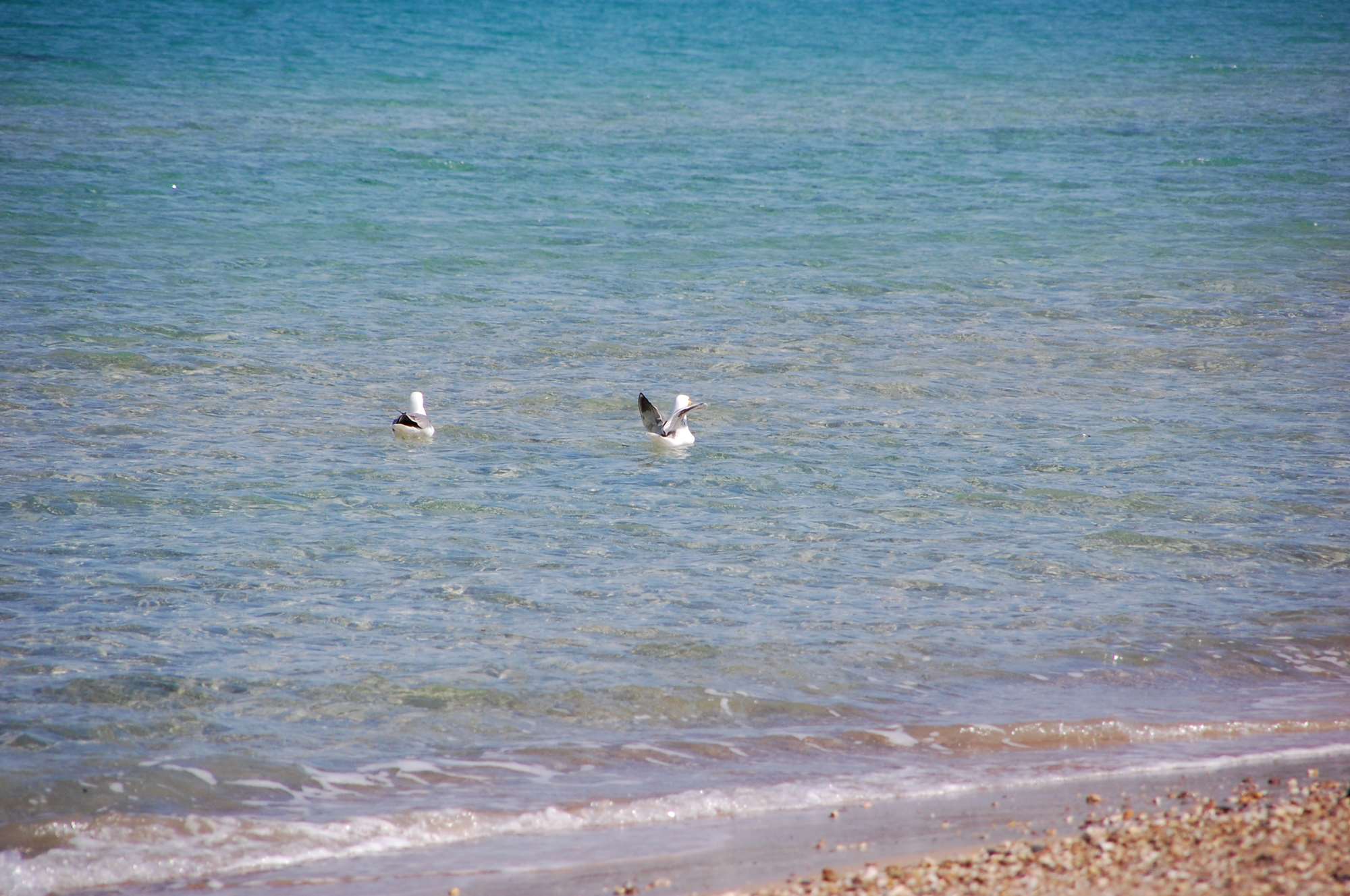 DSC_0093.jpg