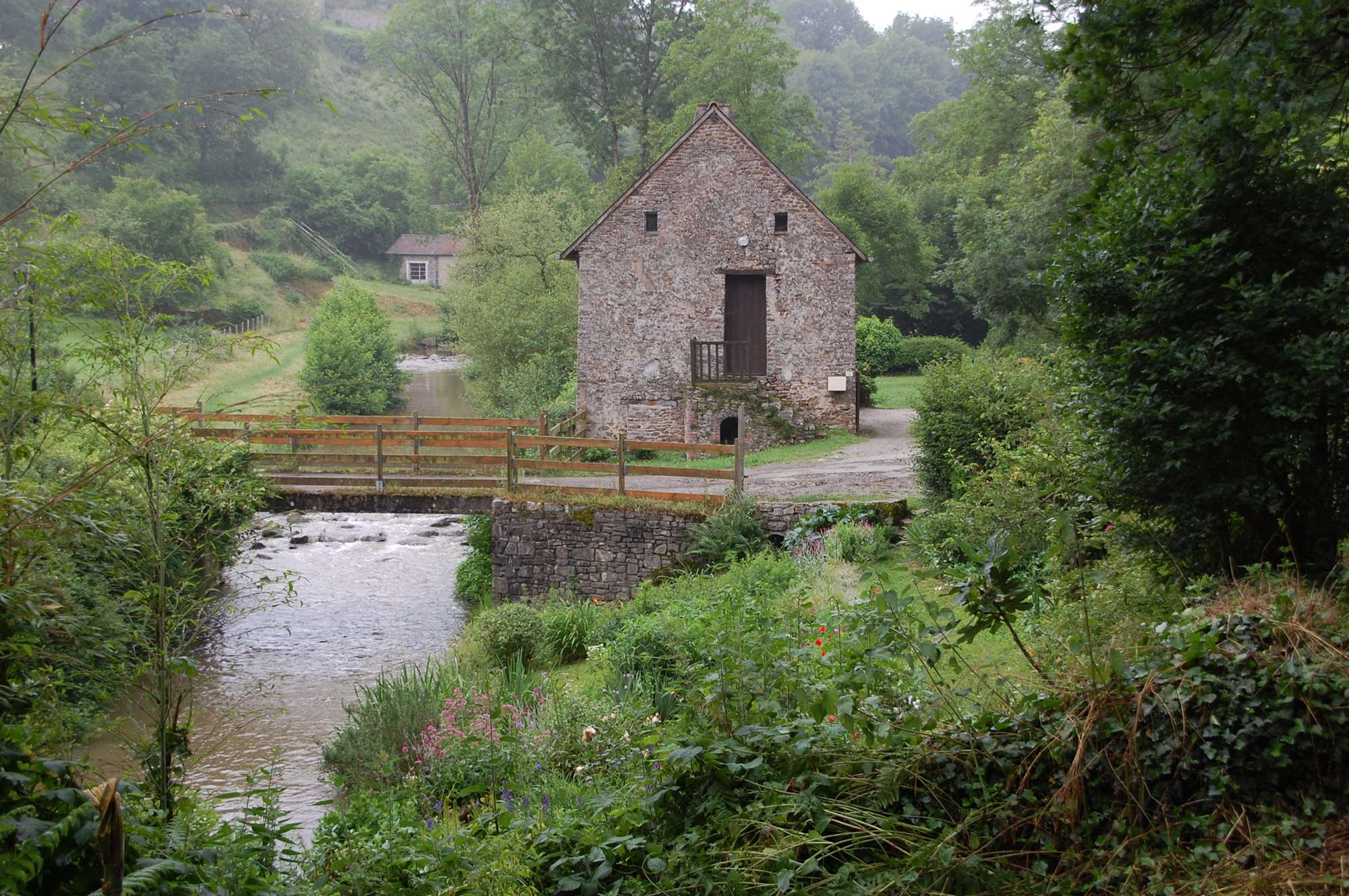 DSC_0123.jpg
