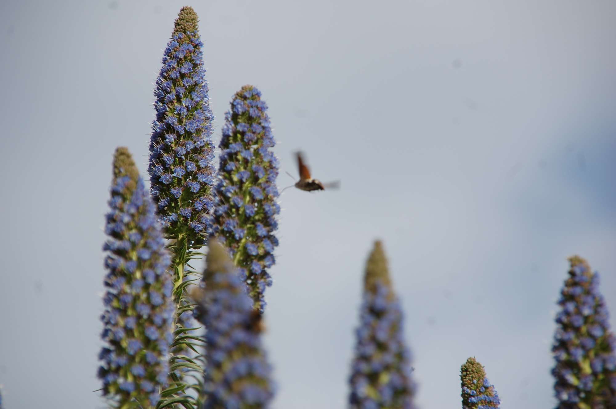 DSC_0125.jpg