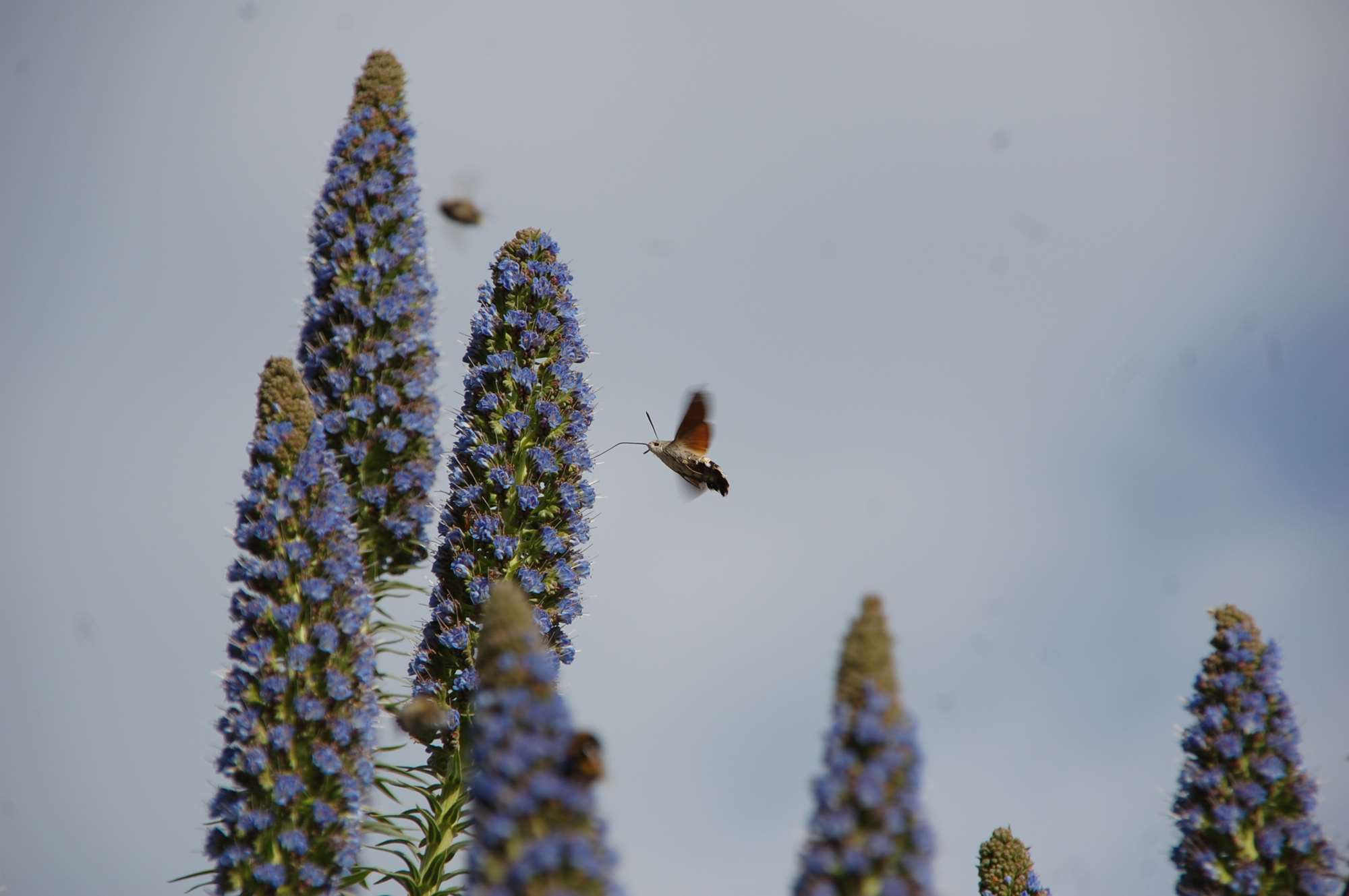 DSC_0126.jpg