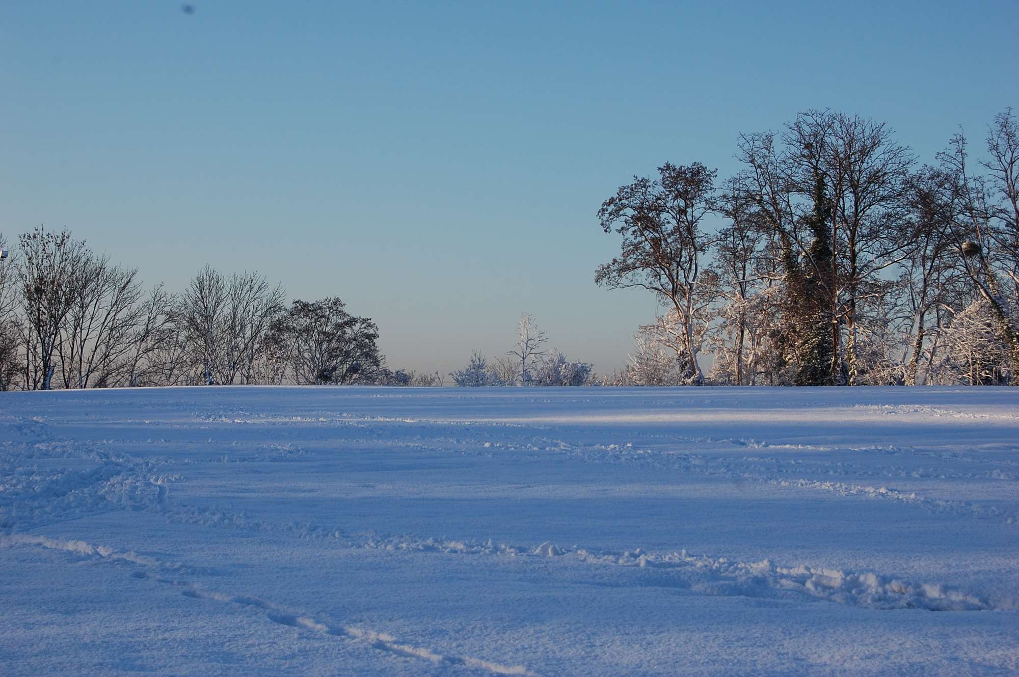 DSC_0668.jpg