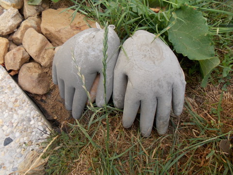 DSCN0007.JPG