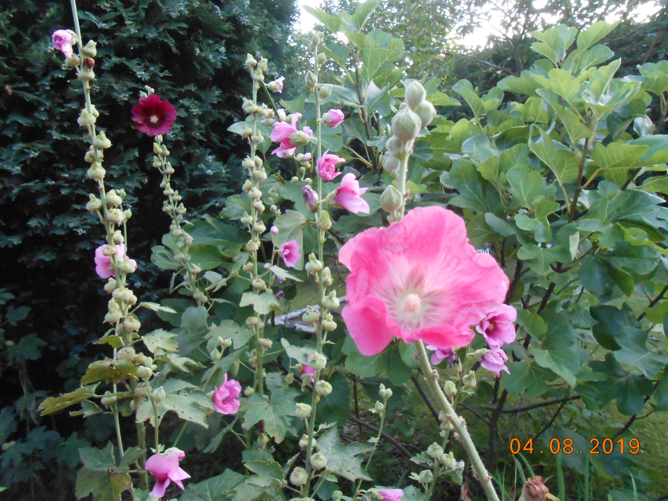 DSCN0057.JPG