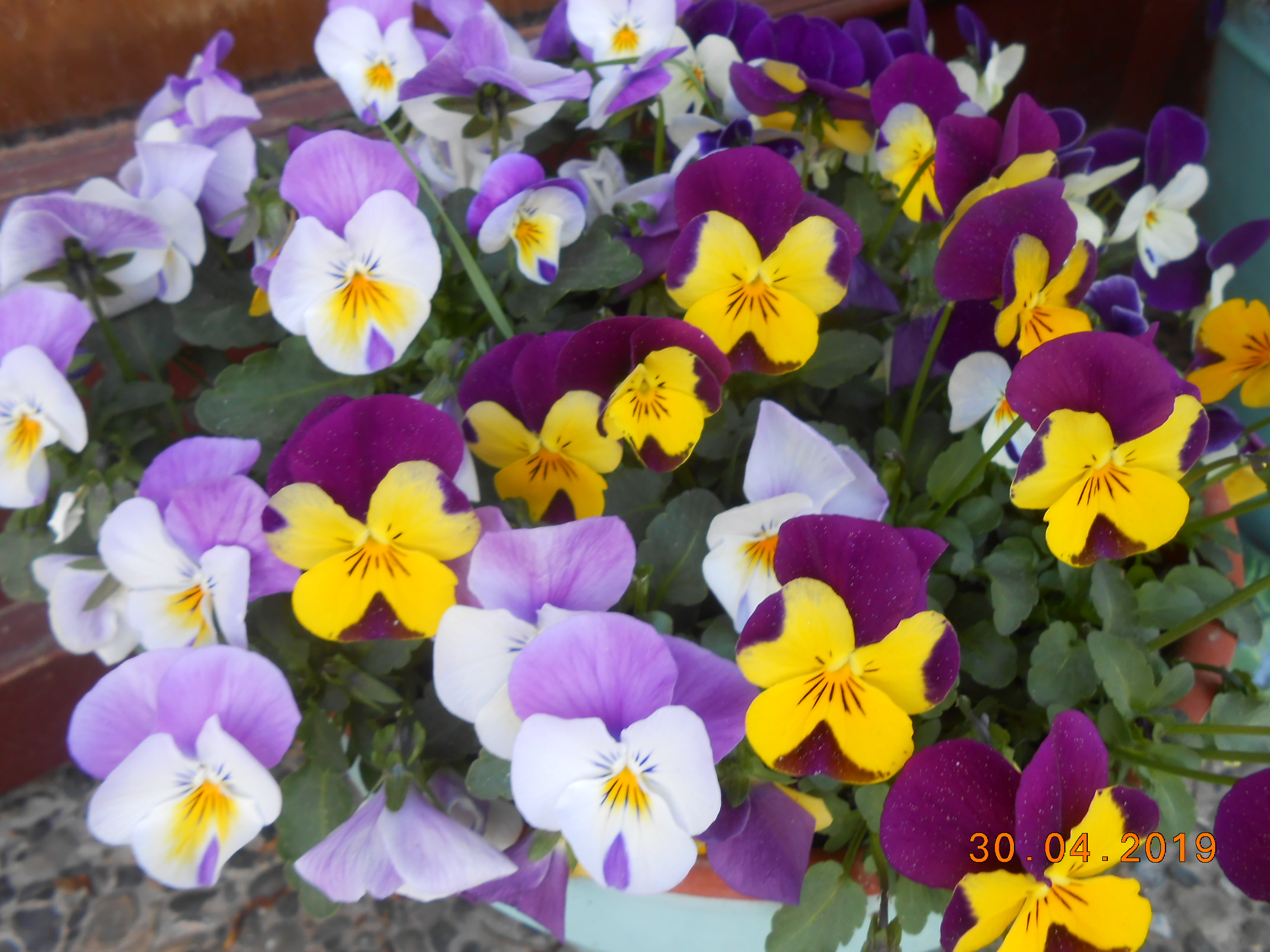 DSCN0470.JPG