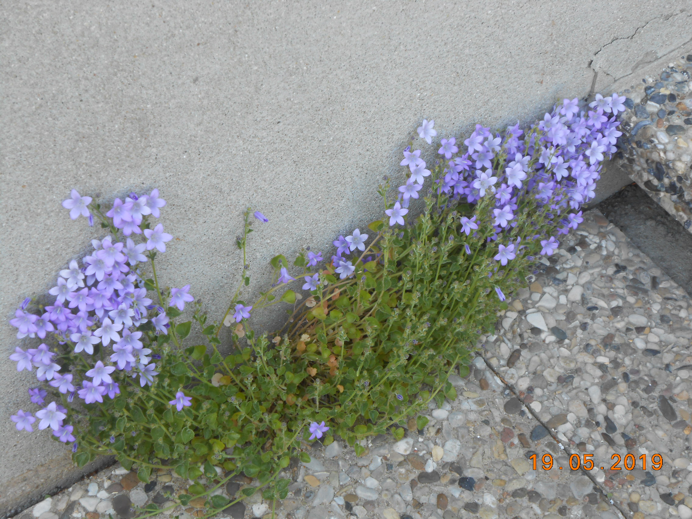 DSCN0933.JPG