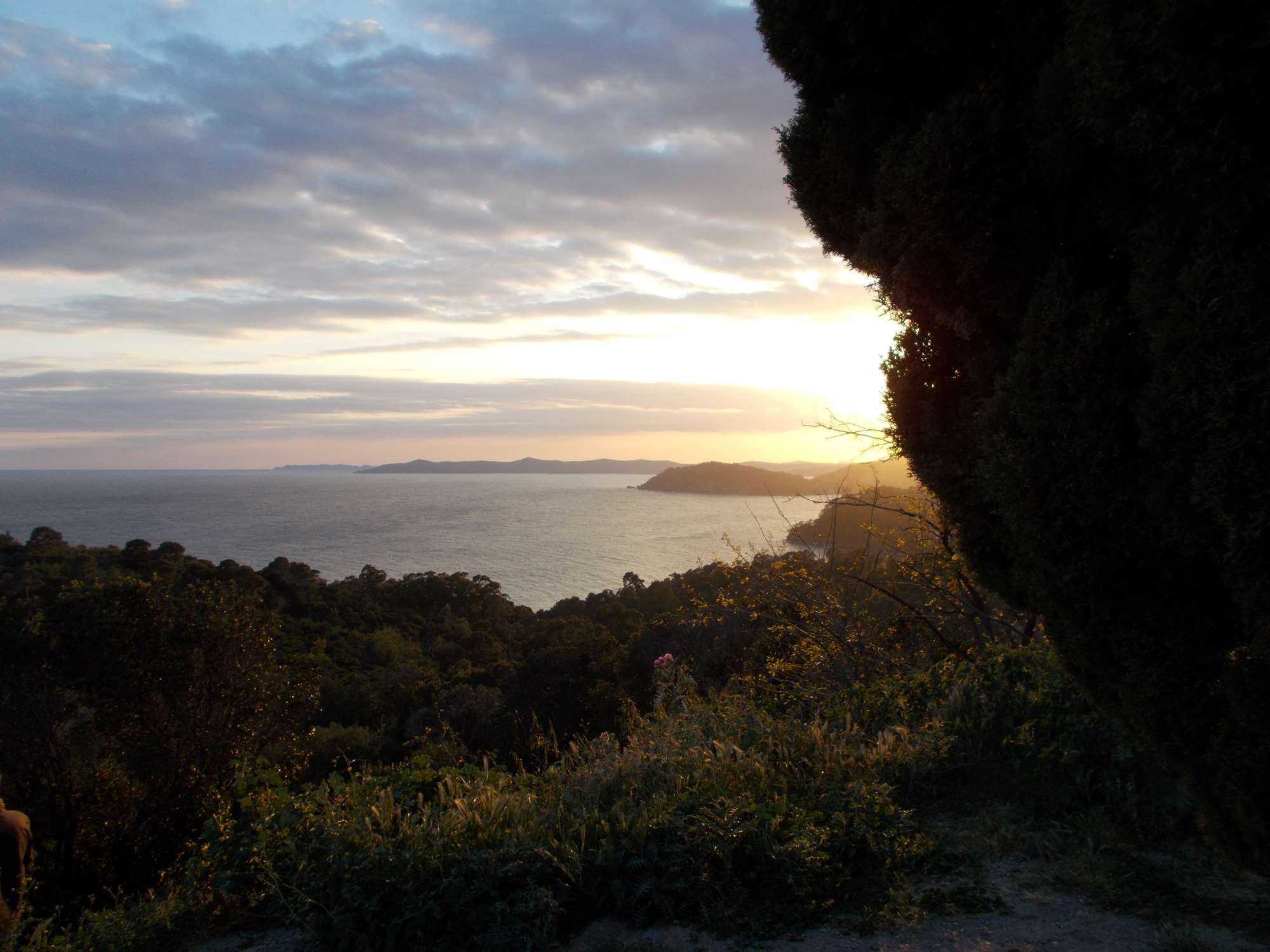 DSCN1258.jpg