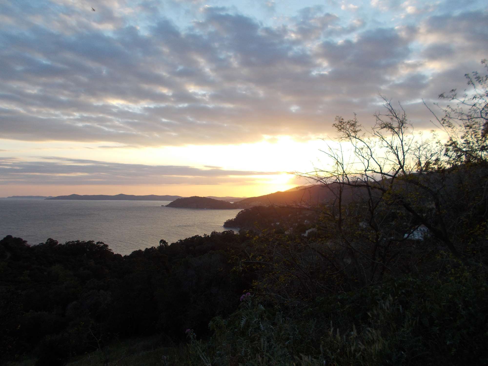 DSCN1264.jpg
