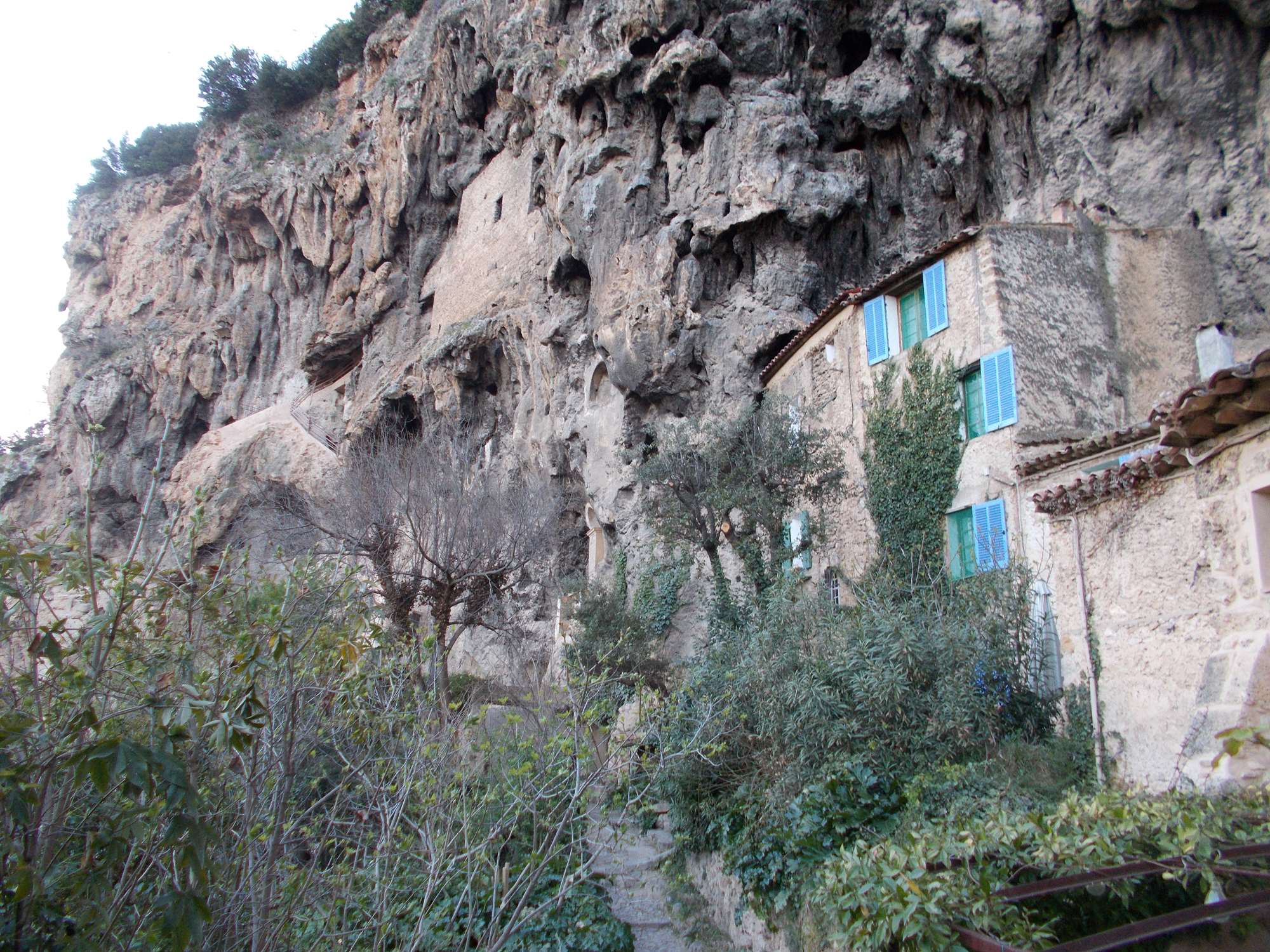 DSCN1272.jpg
