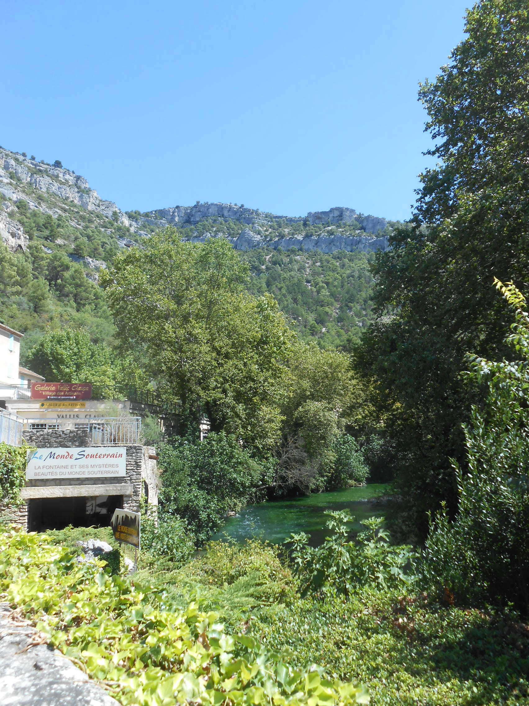 DSCN2823.jpg
