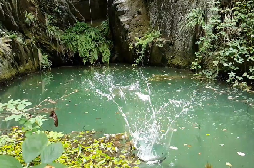 eau.jpg
