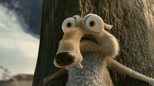 écureil.gif