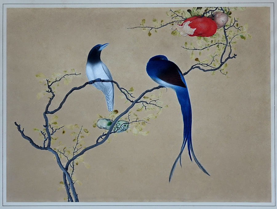Encres-sur-velin-Chine-Dynastie-Qing-Oiseaux-de-paradis_1a.jpg