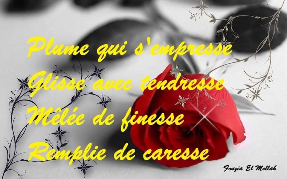 FB_IMG_1726697874358.jpg