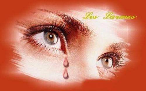 FB_IMG_1727597397625.jpg