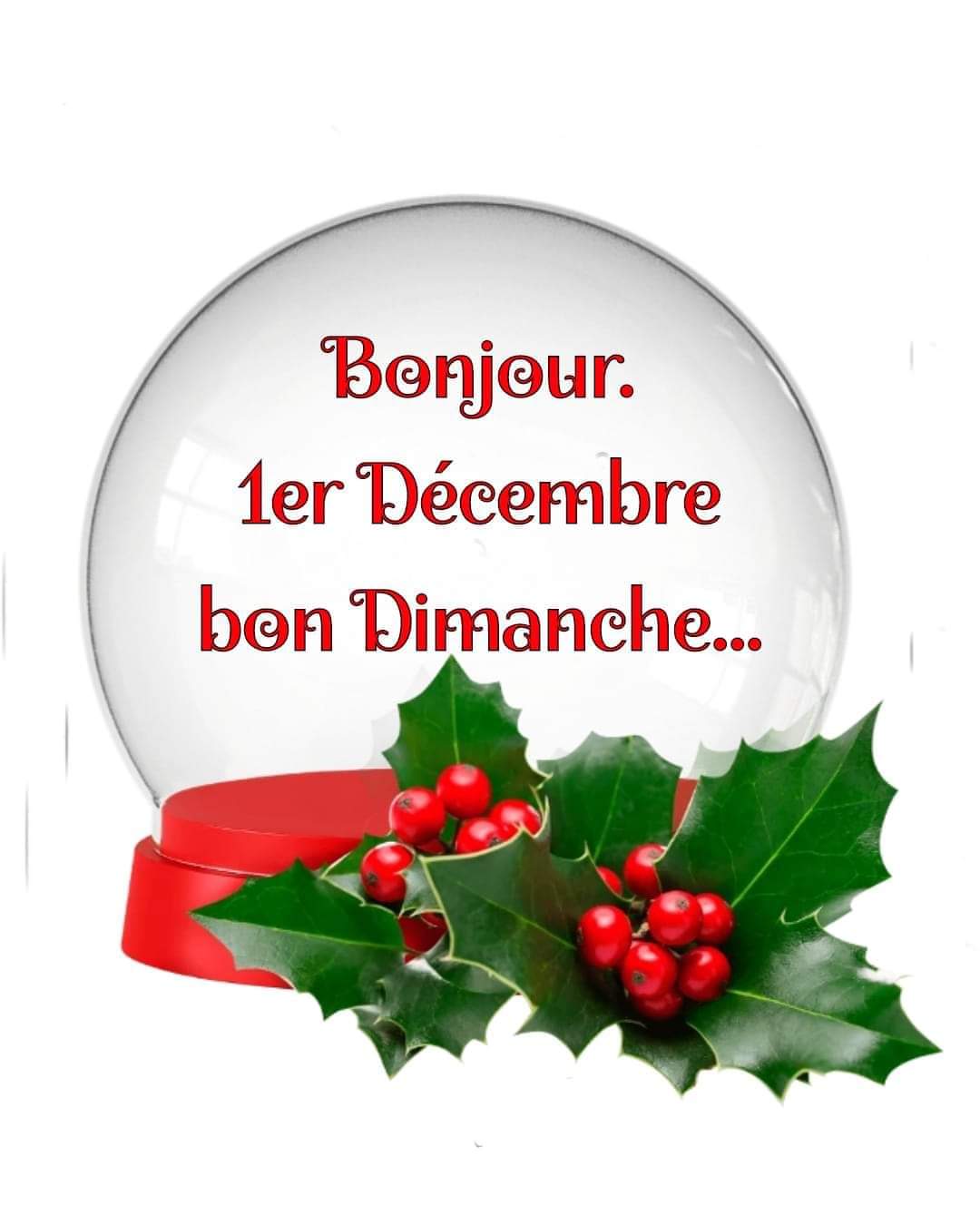 FB_IMG_1733047669537.jpg