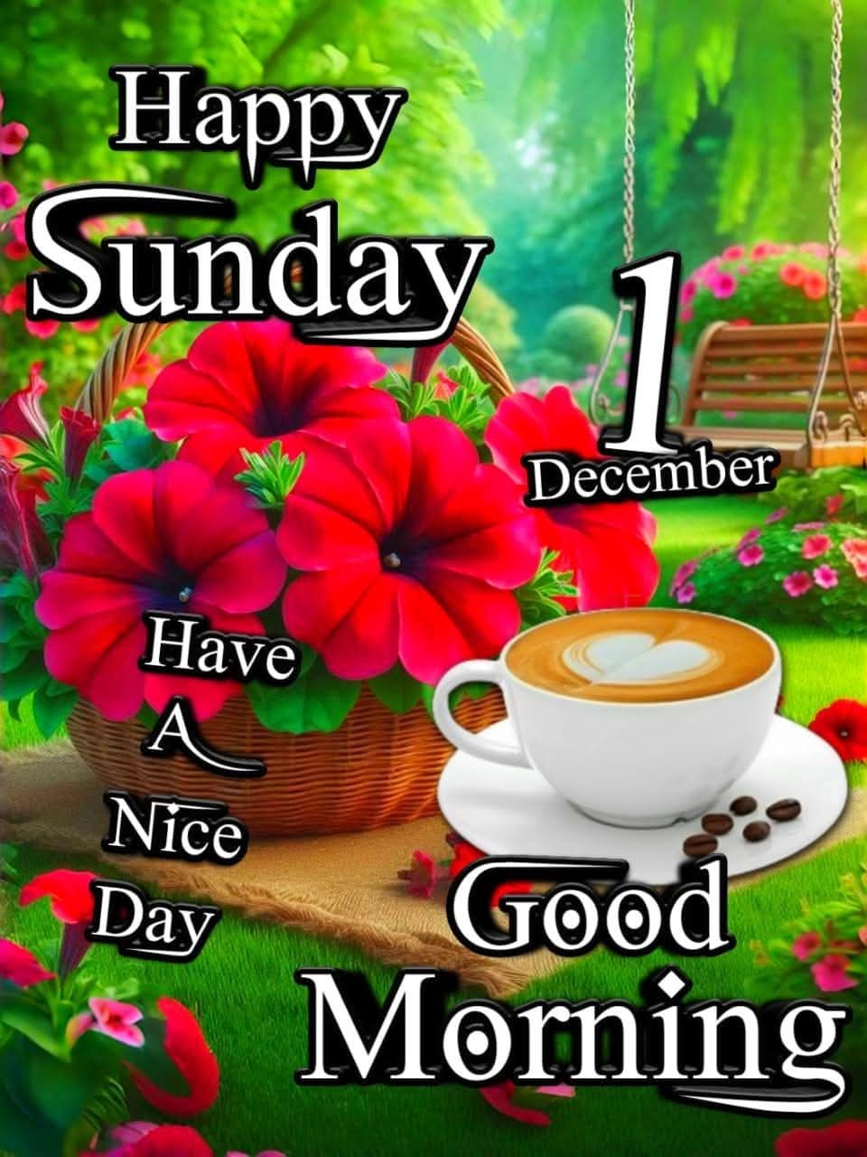 FB_IMG_1733047686819.jpg