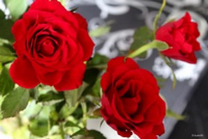 Fleur 1.jpg