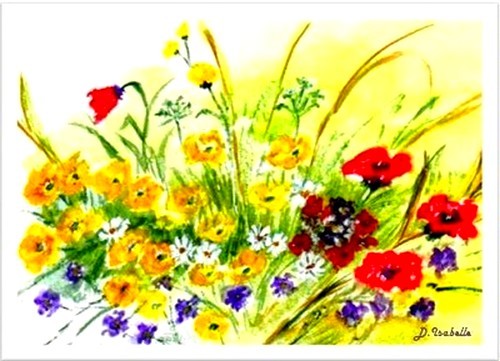 fleurs des champs - D.Isabelle-1.jpg