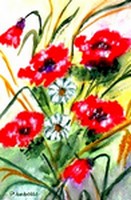 fleurs des champs - D.Isabelle.jpg