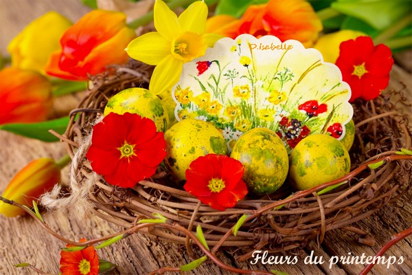 fleurs du printemps 1.jpg