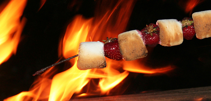 fraises-chamalooGrillé.jpg